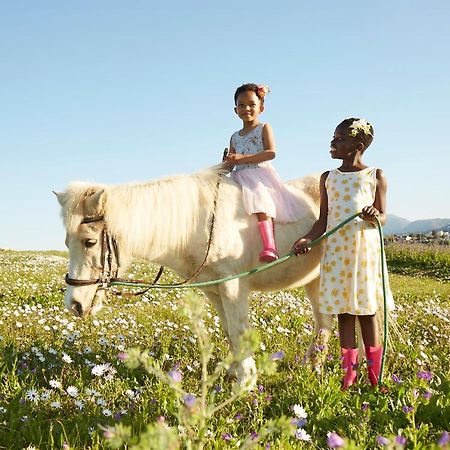 Lighthouse Farm Backpackers Lodge Cape Town Luaran gambar