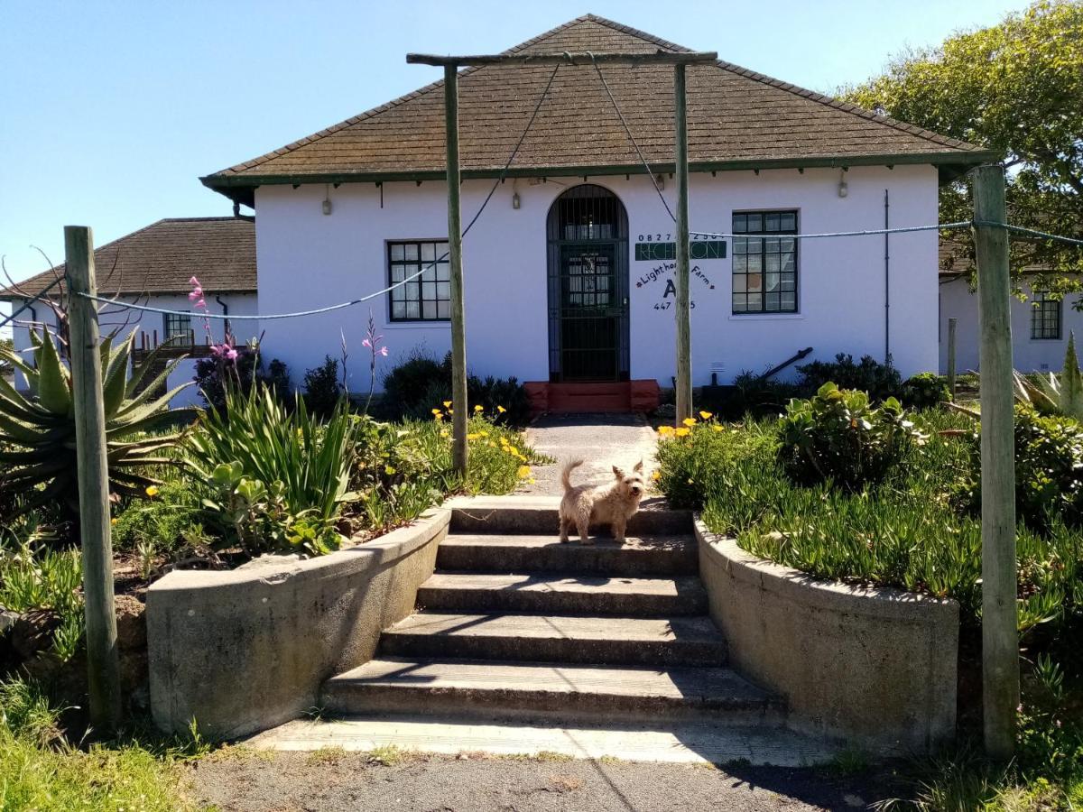 Lighthouse Farm Backpackers Lodge Cape Town Luaran gambar