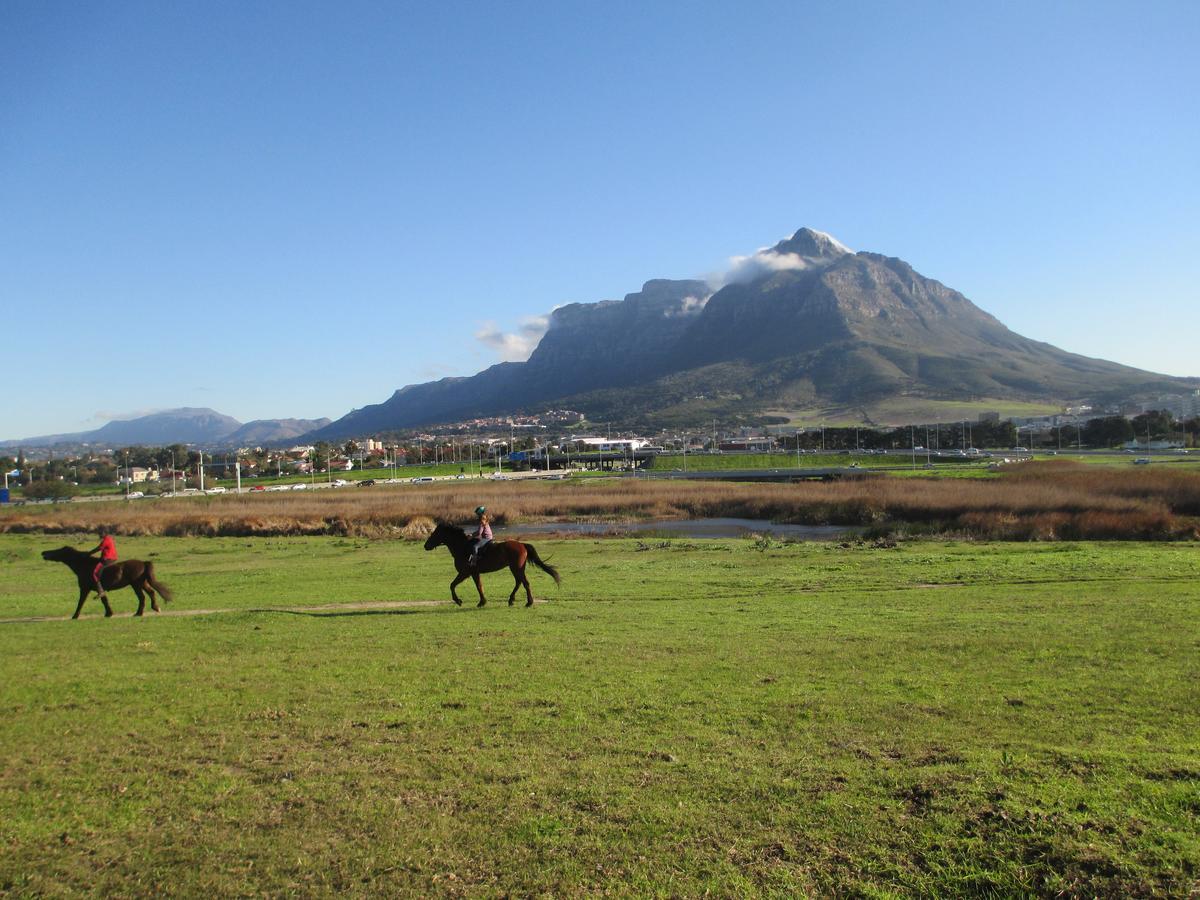 Lighthouse Farm Backpackers Lodge Cape Town Luaran gambar