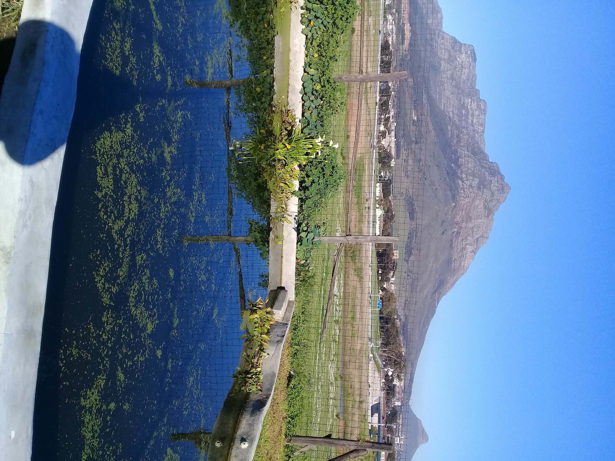 Lighthouse Farm Backpackers Lodge Cape Town Luaran gambar